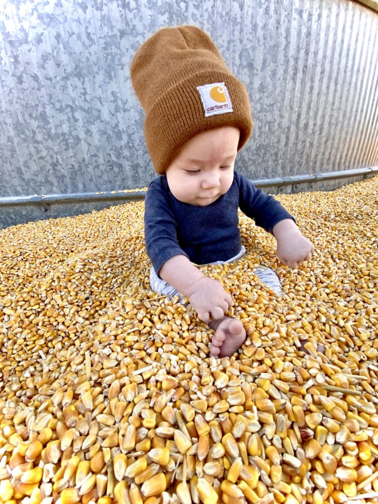 Maverick Corn Pit